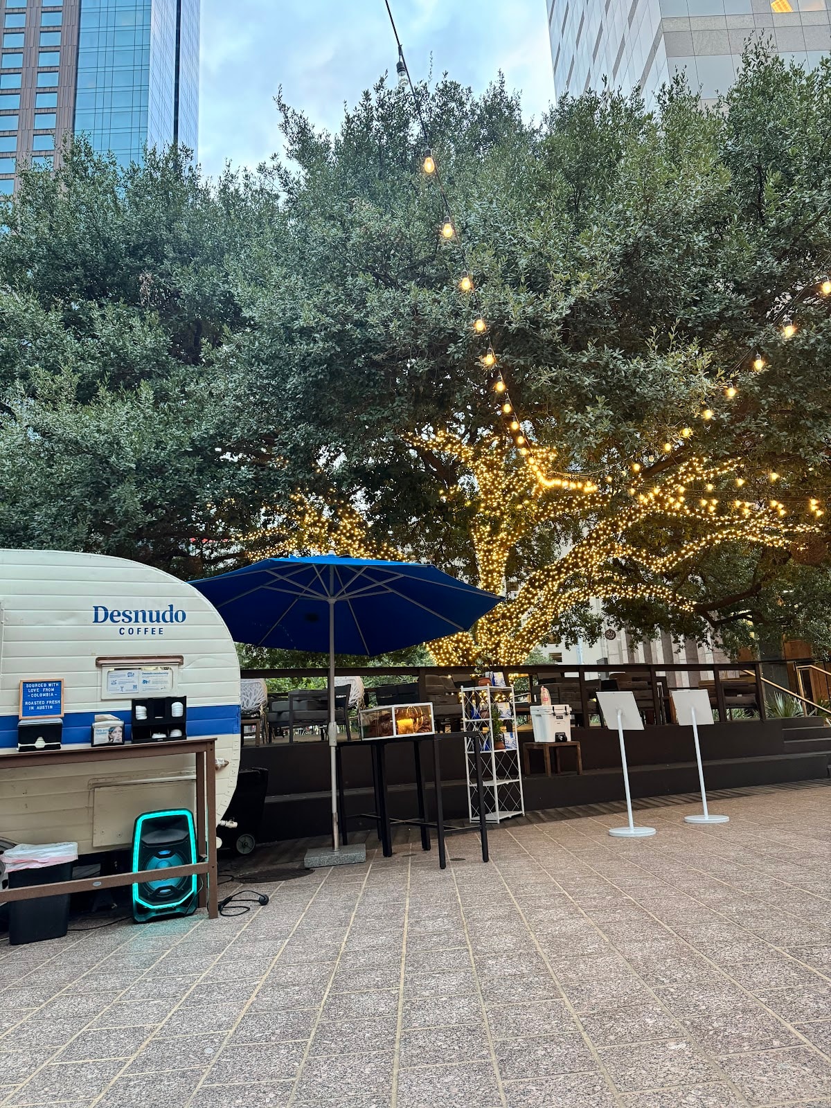 Desnudo Coffee: Downtown
