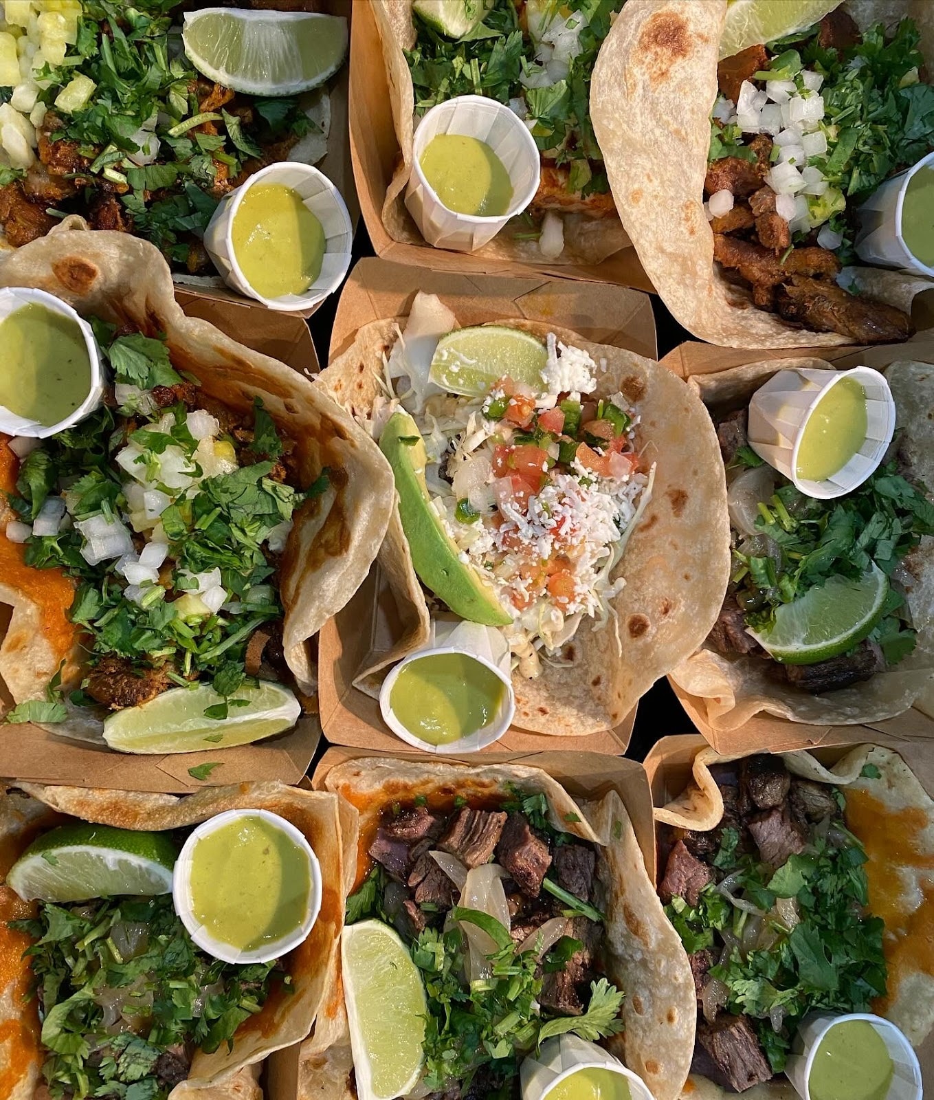 Taco Flats-Holly