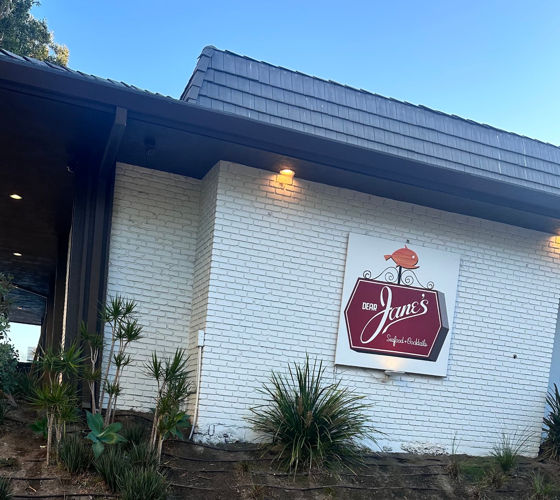Dear Jane's