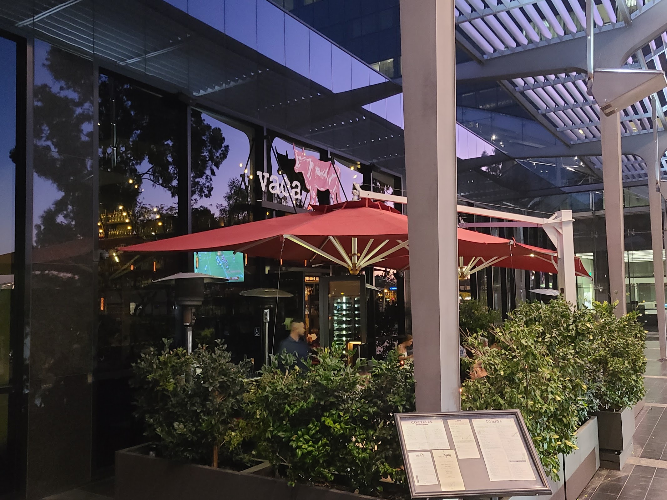 Vaca Costa Mesa