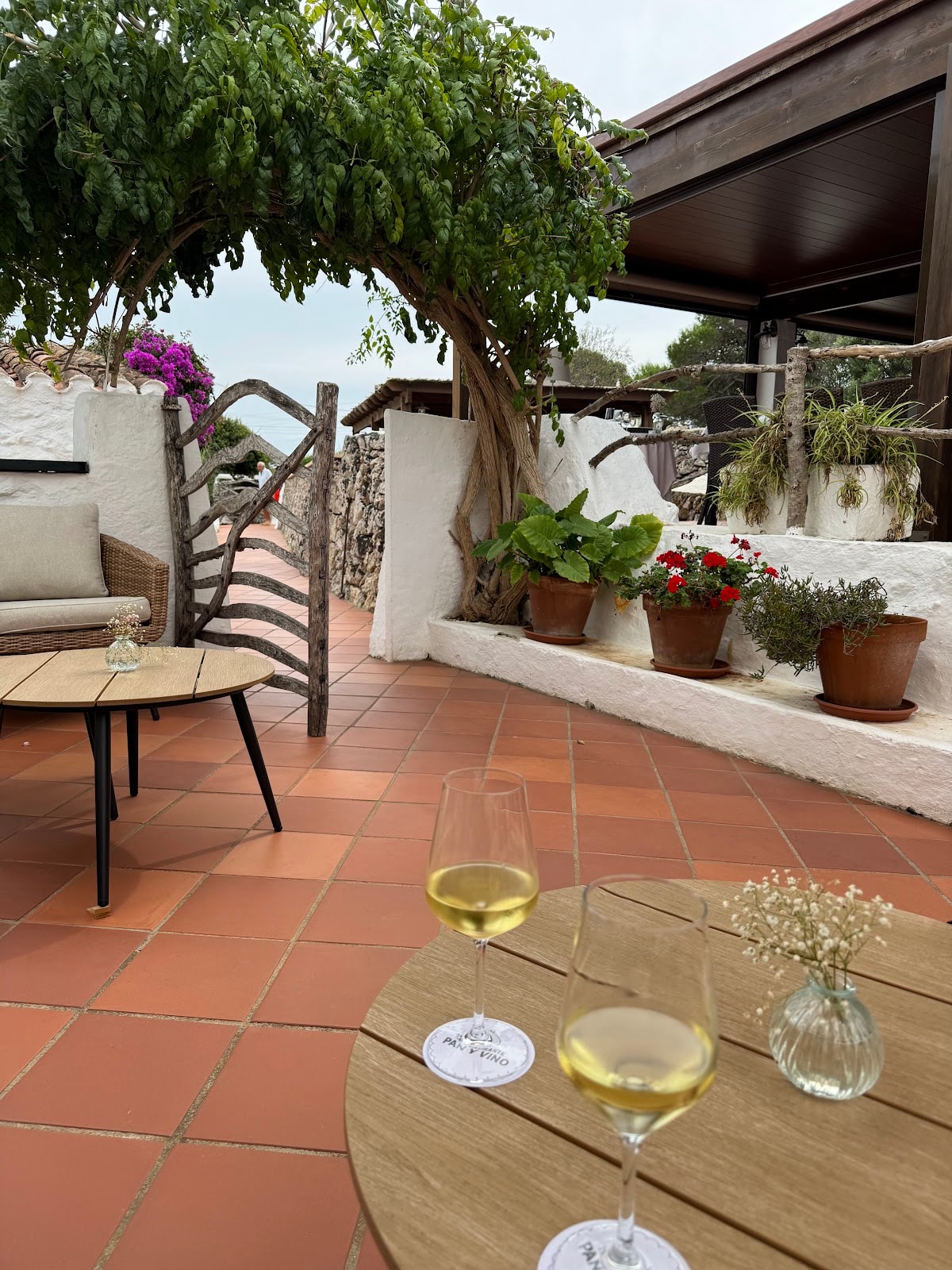 Restaurant Pan y Vino