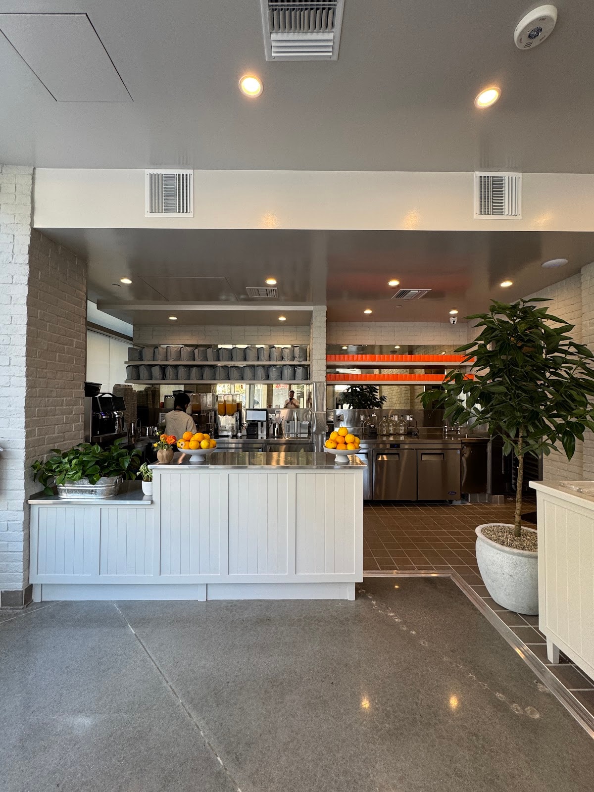 WAKE AND LATE — HOLLYWOOD