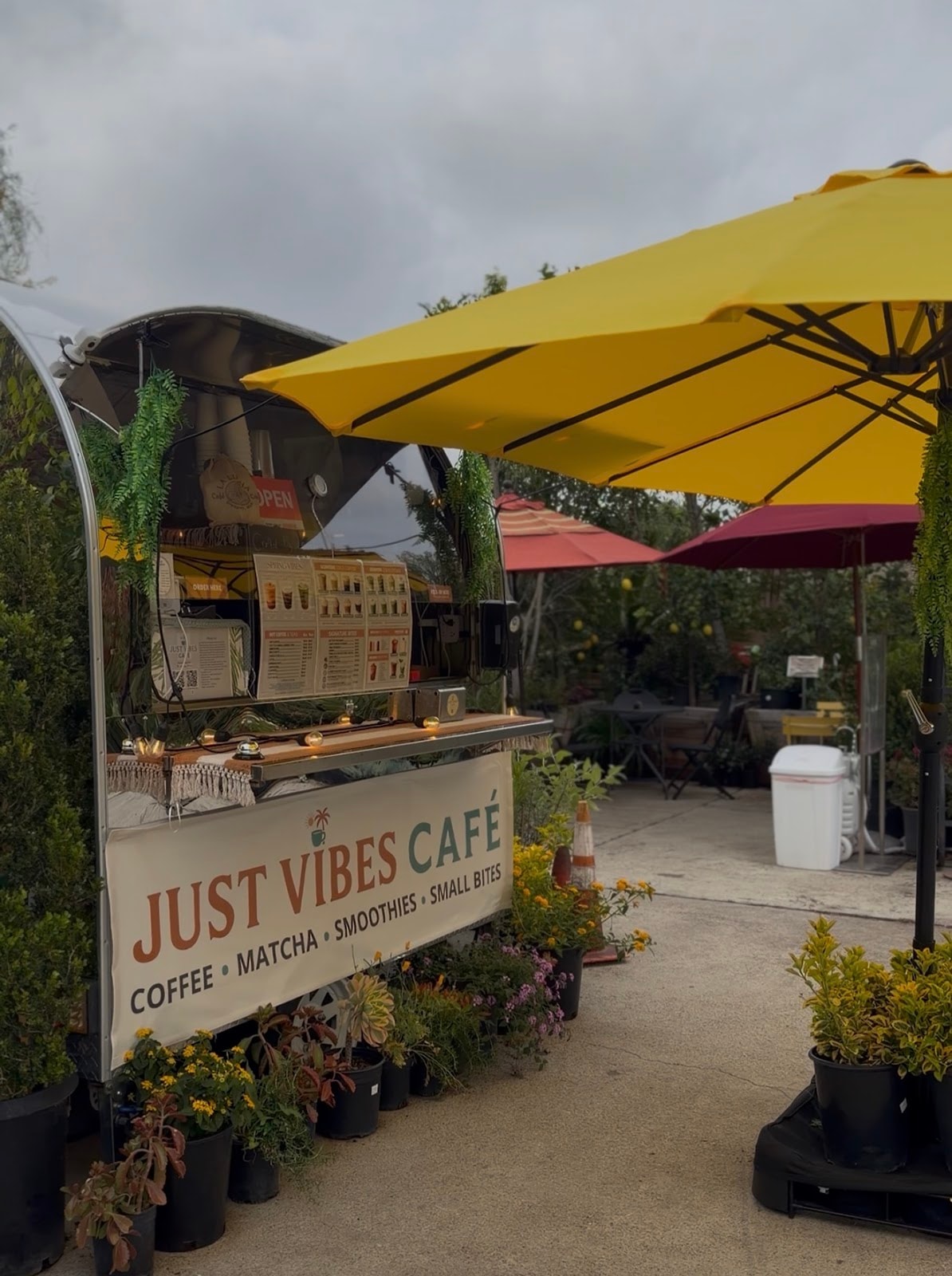 Just Vibes Café