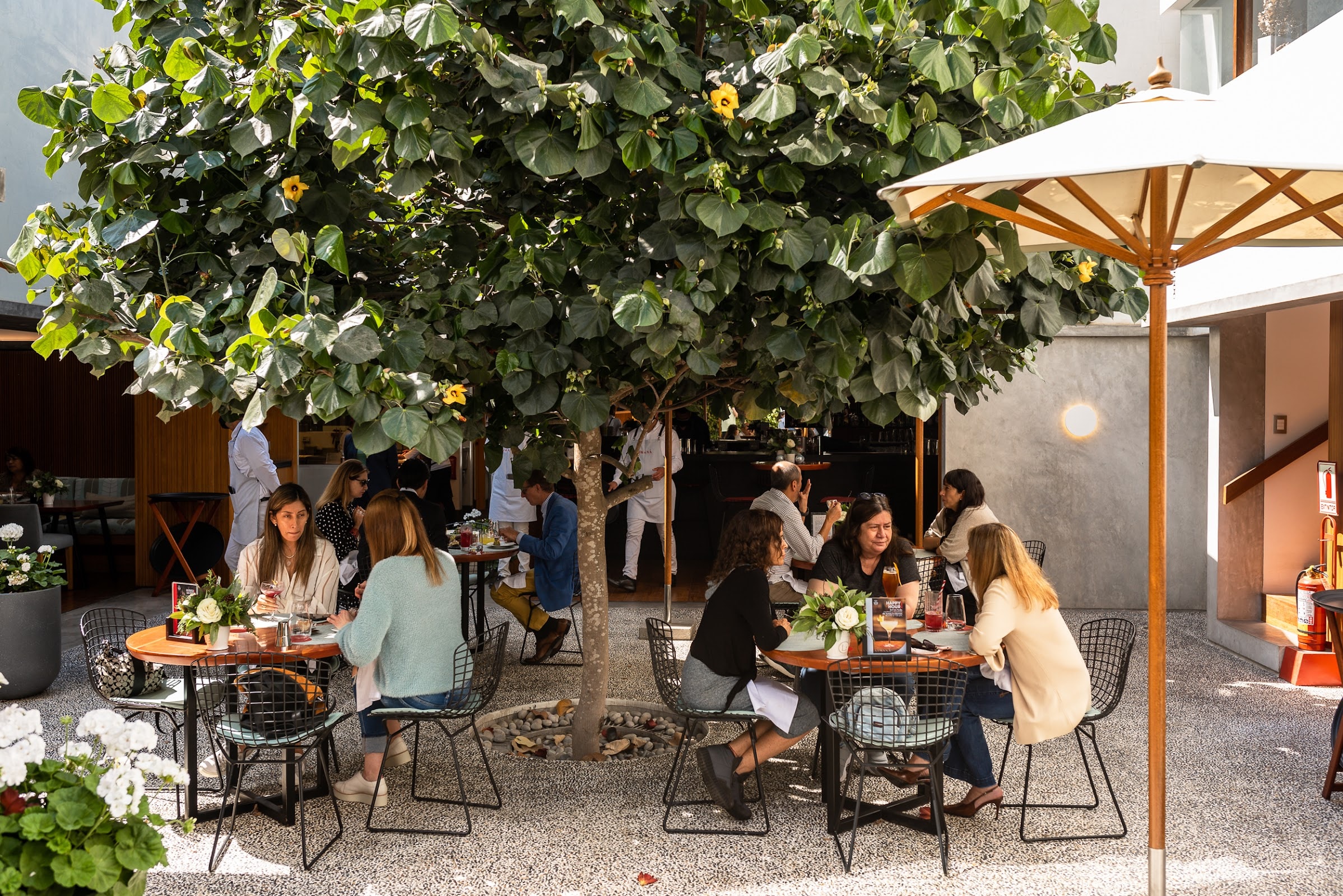 LIMANÁ - PERUVIAN SUPERFOOD RESTAURANT