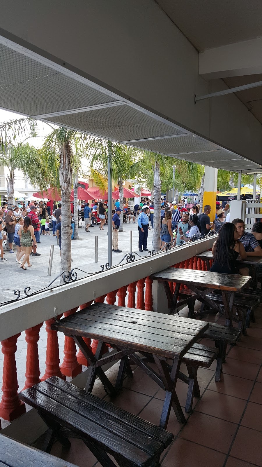 Reef Pop