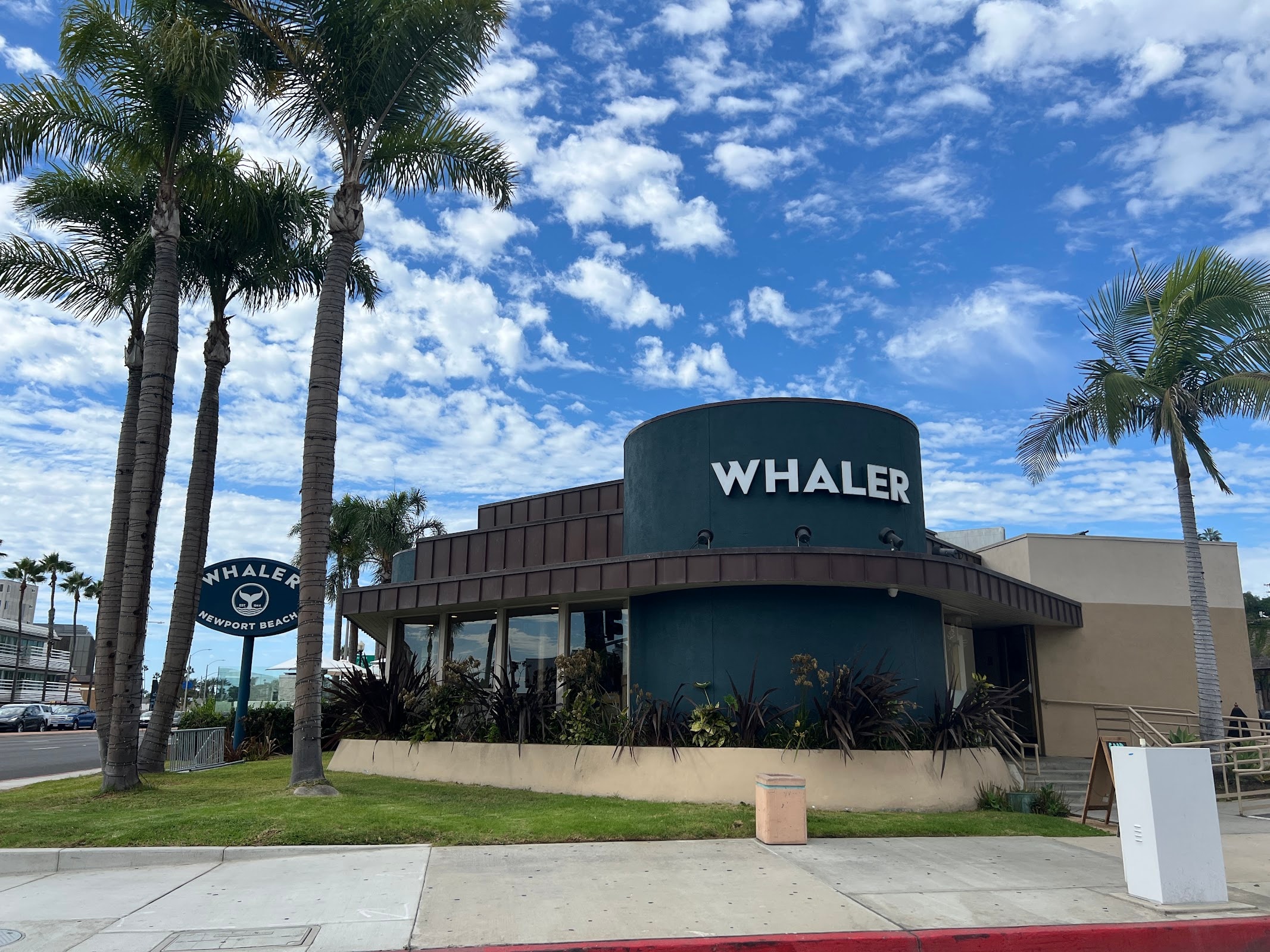 Newport Beach Whaler