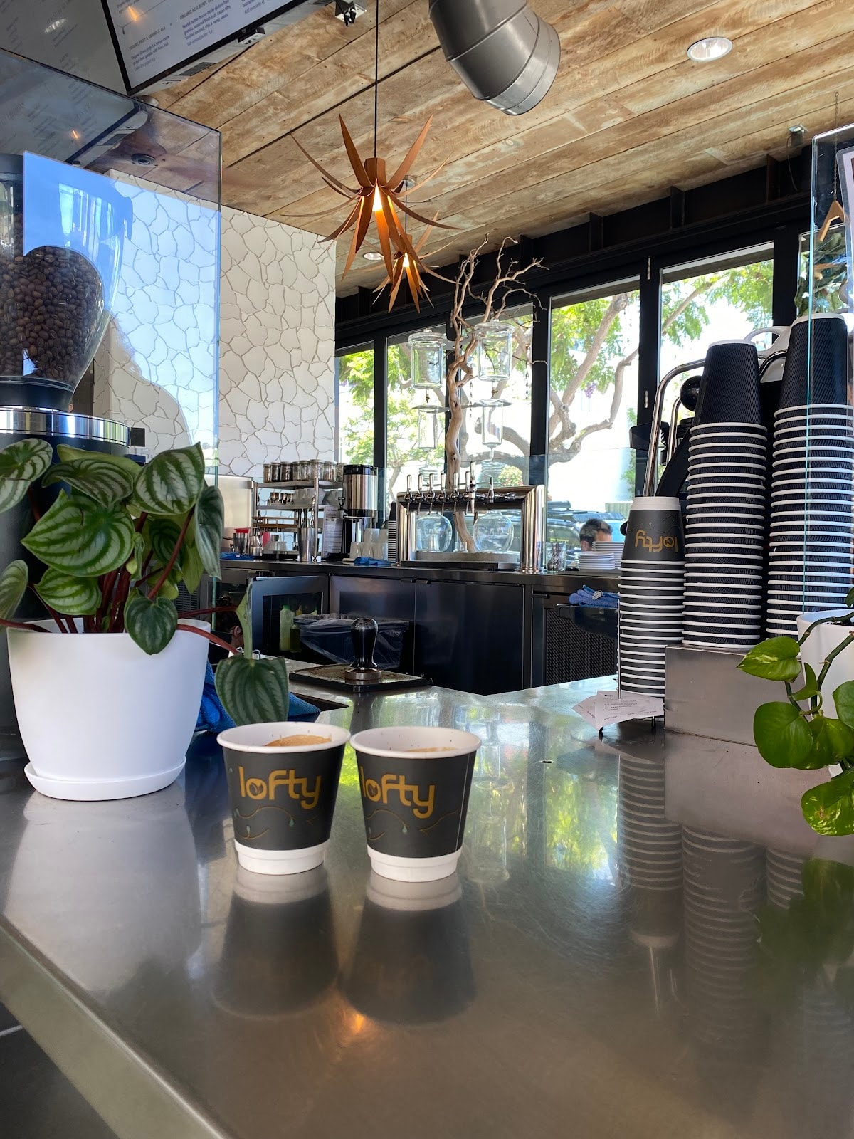 Lofty Coffee Co.