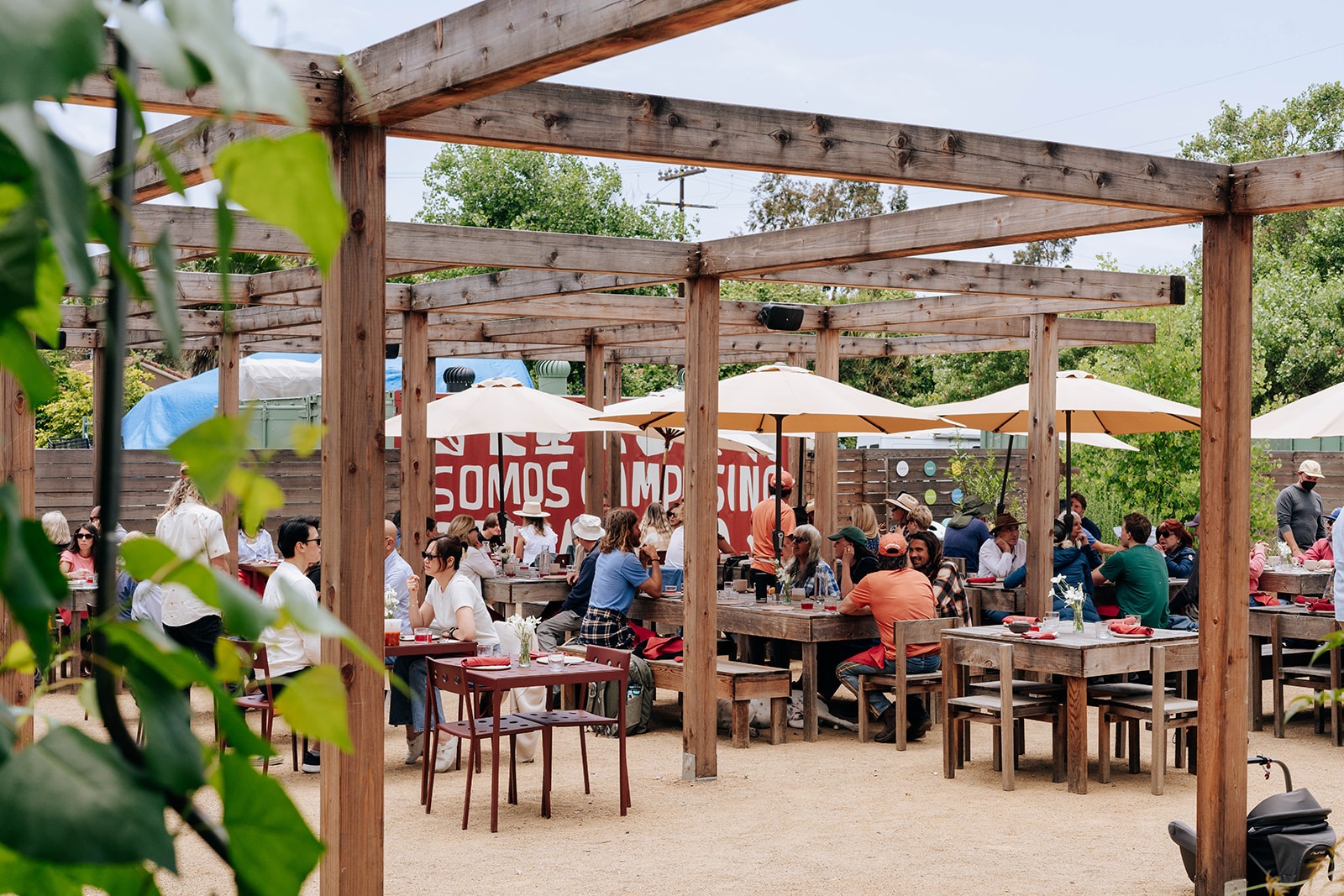 Campesino Café