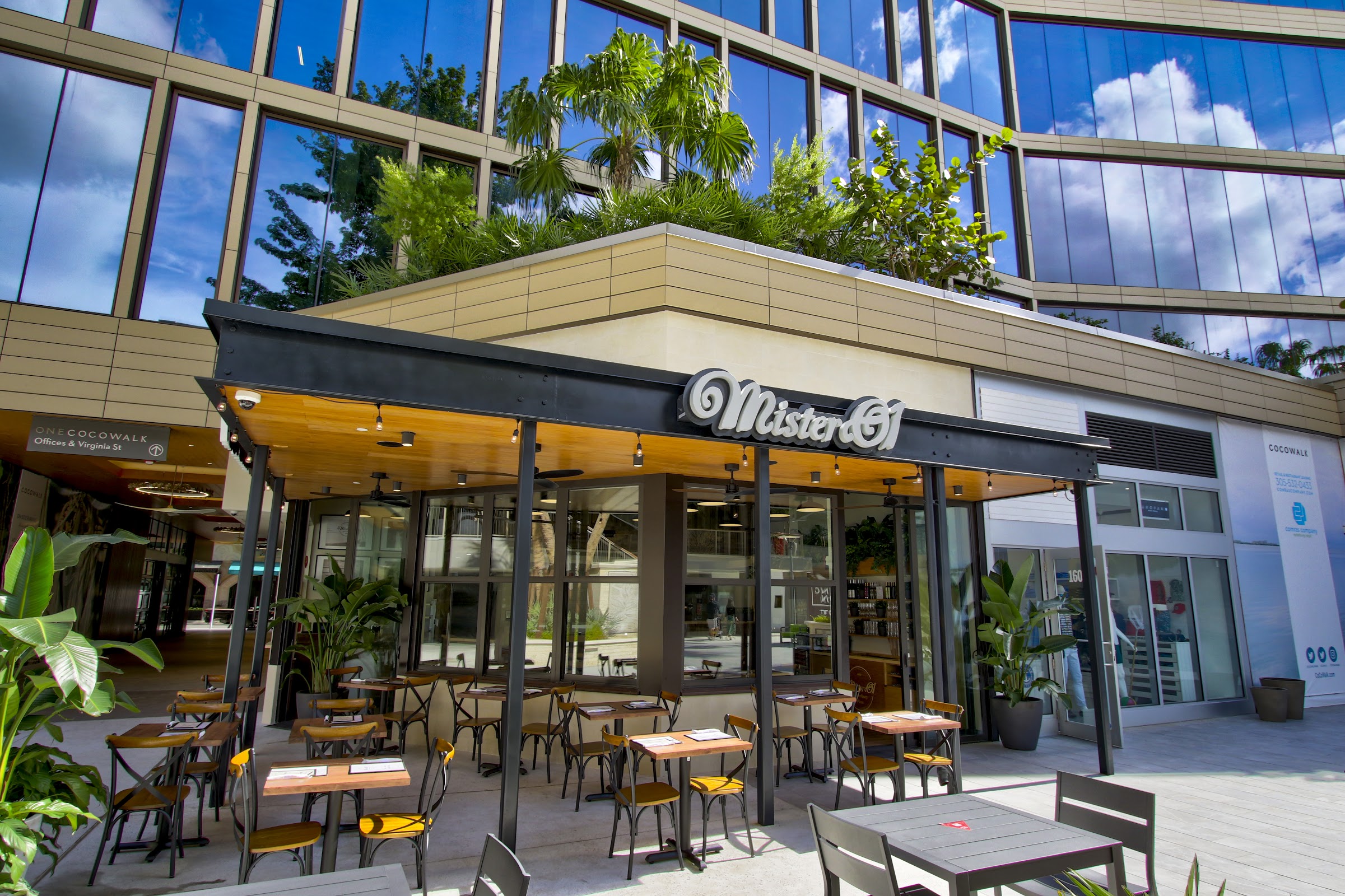 Mister O1 Extraordinary Pizza - Coconut Grove
