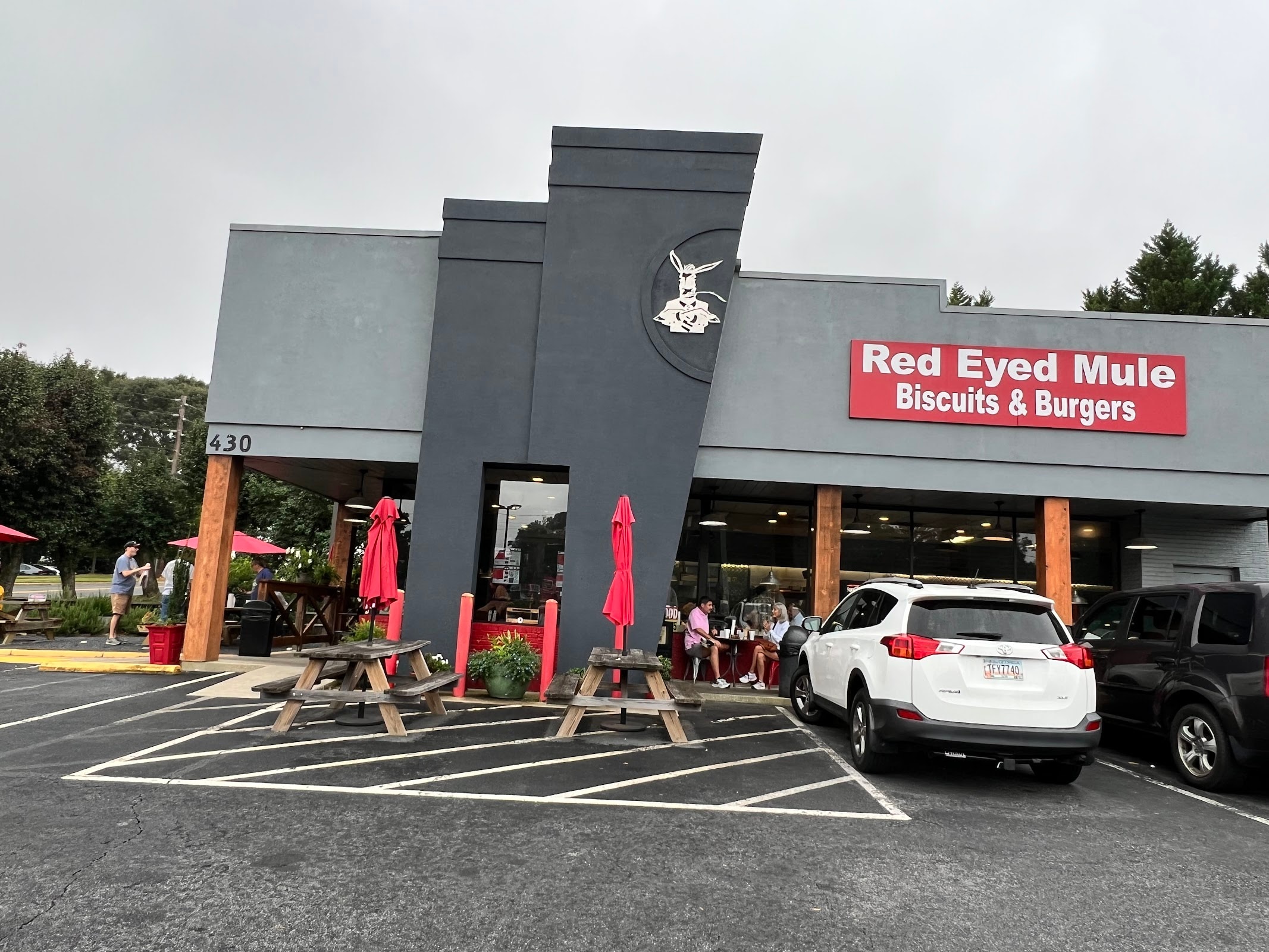 The Red Eyed Mule