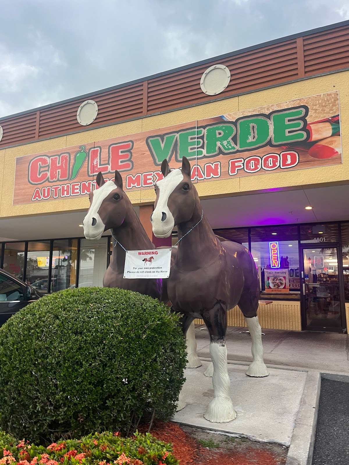 Chile Verde