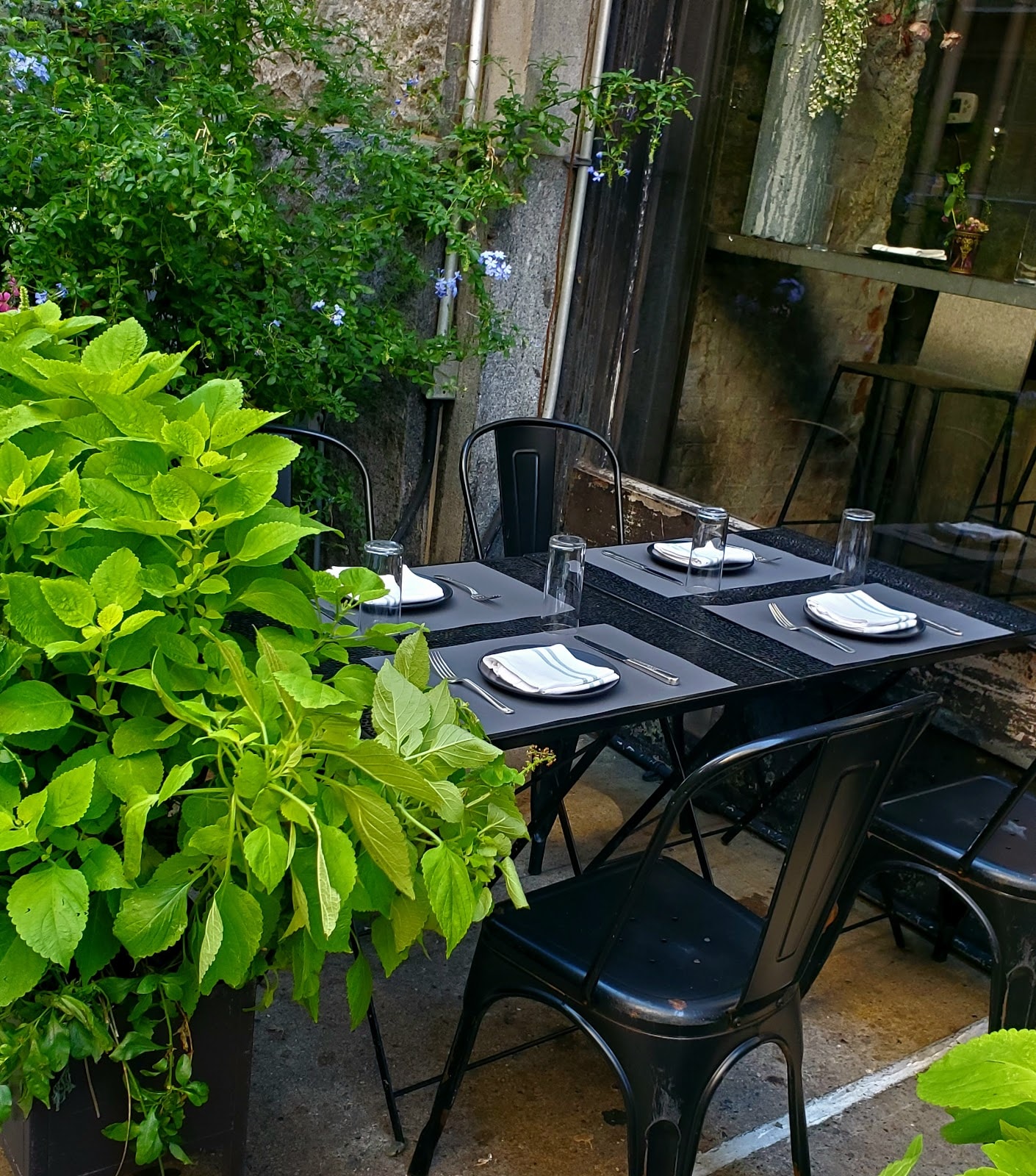 abc cocina