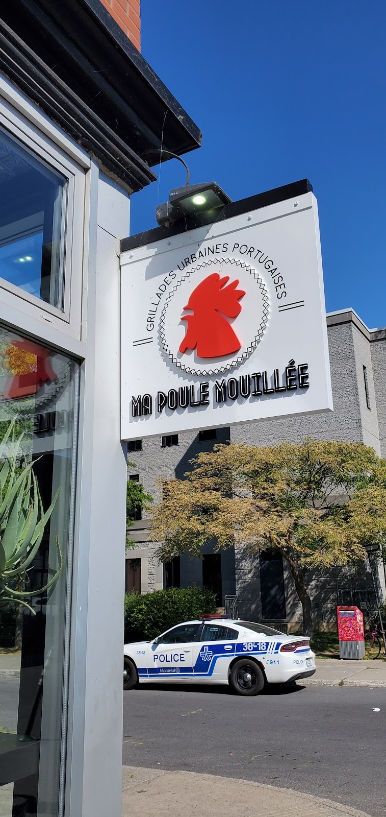 Ma Poule Mouillée