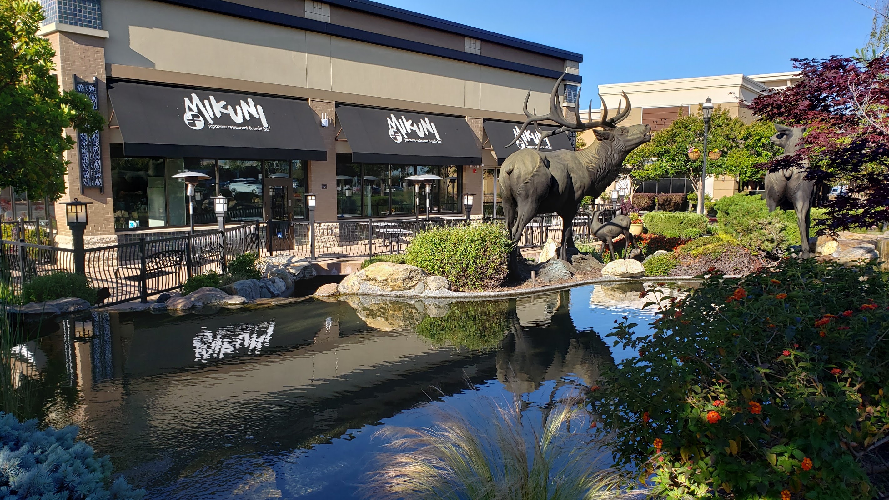 Mikuni at Fountains