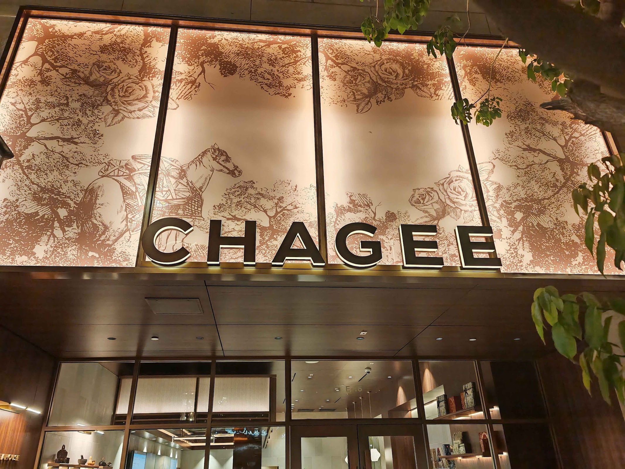 CHAGEE Americana