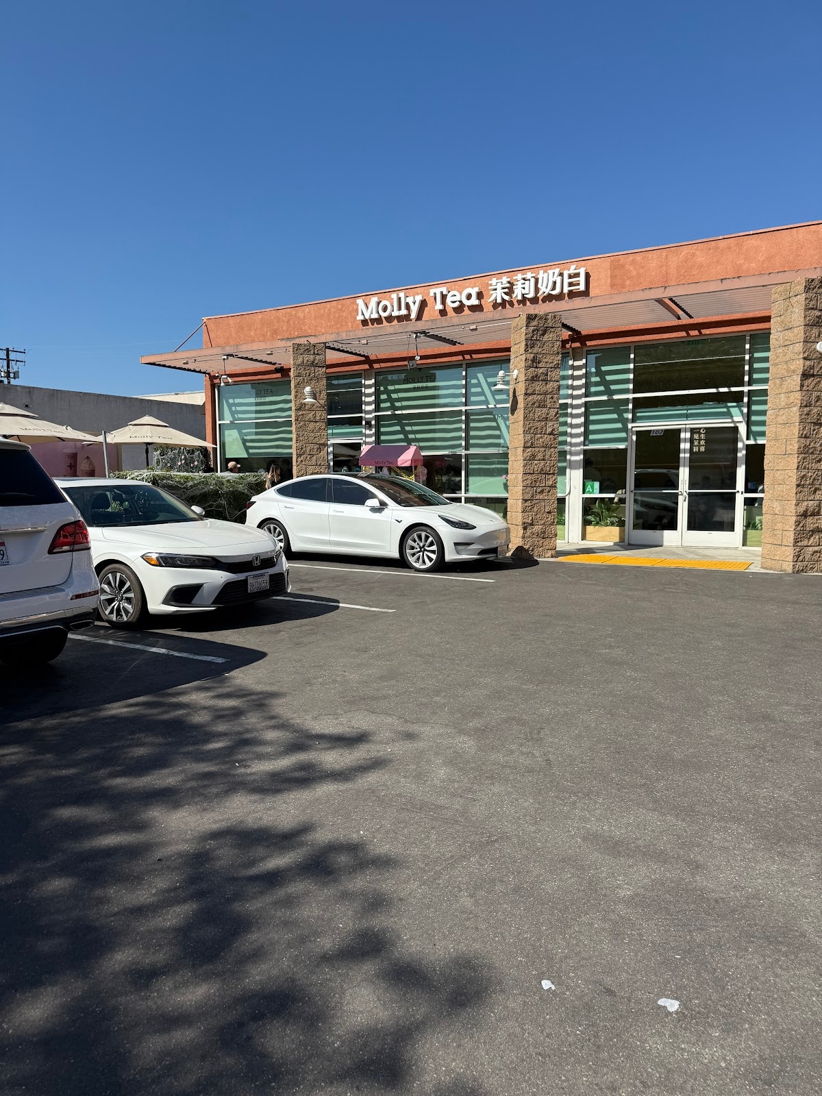 Molly Tea (San Gabriel)