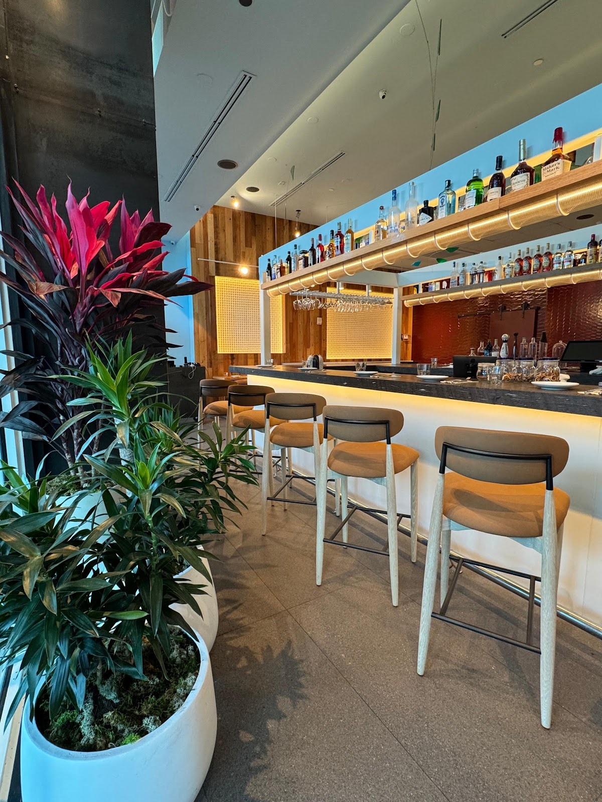 Charlatam - Miami