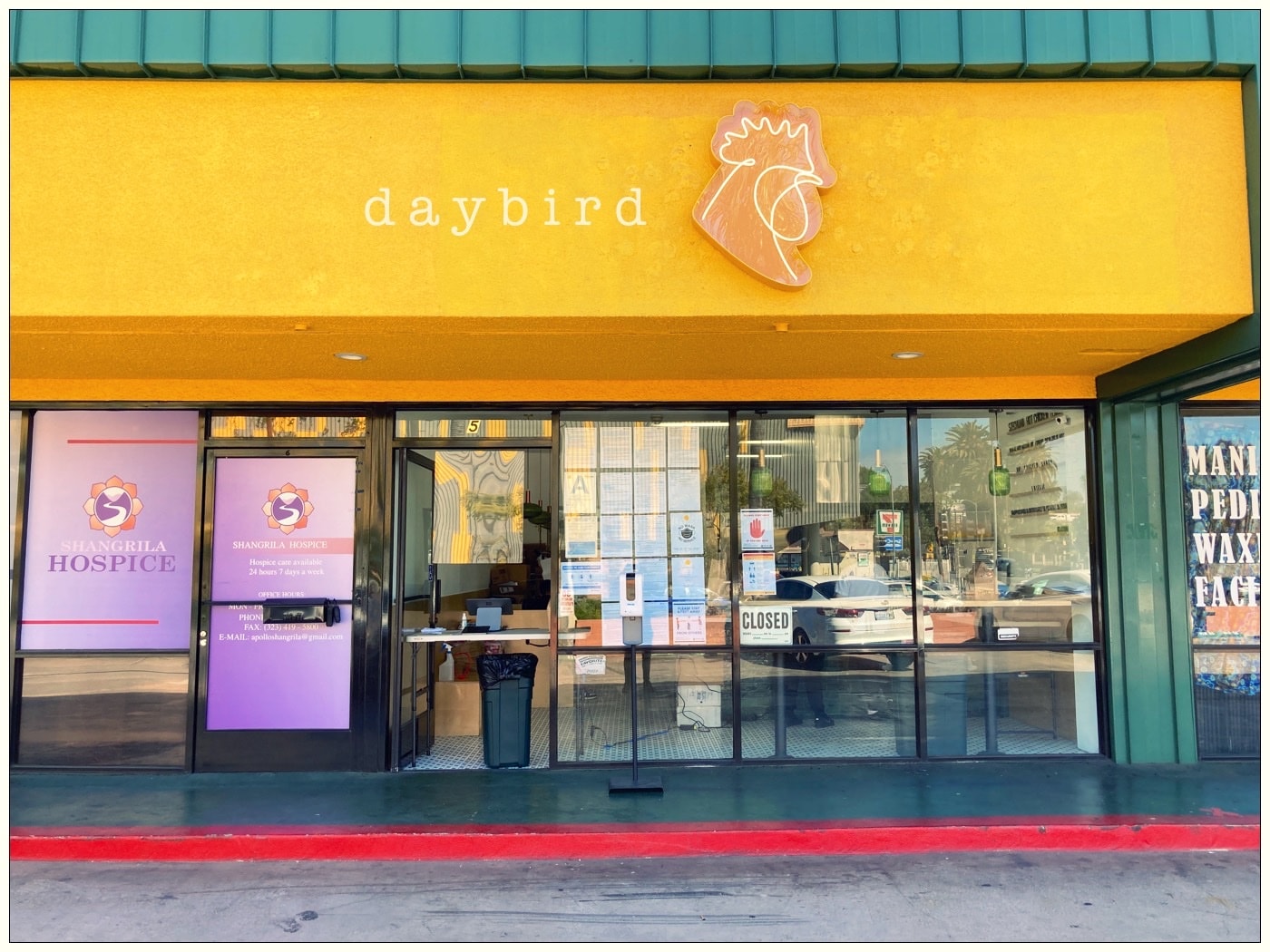 daybird