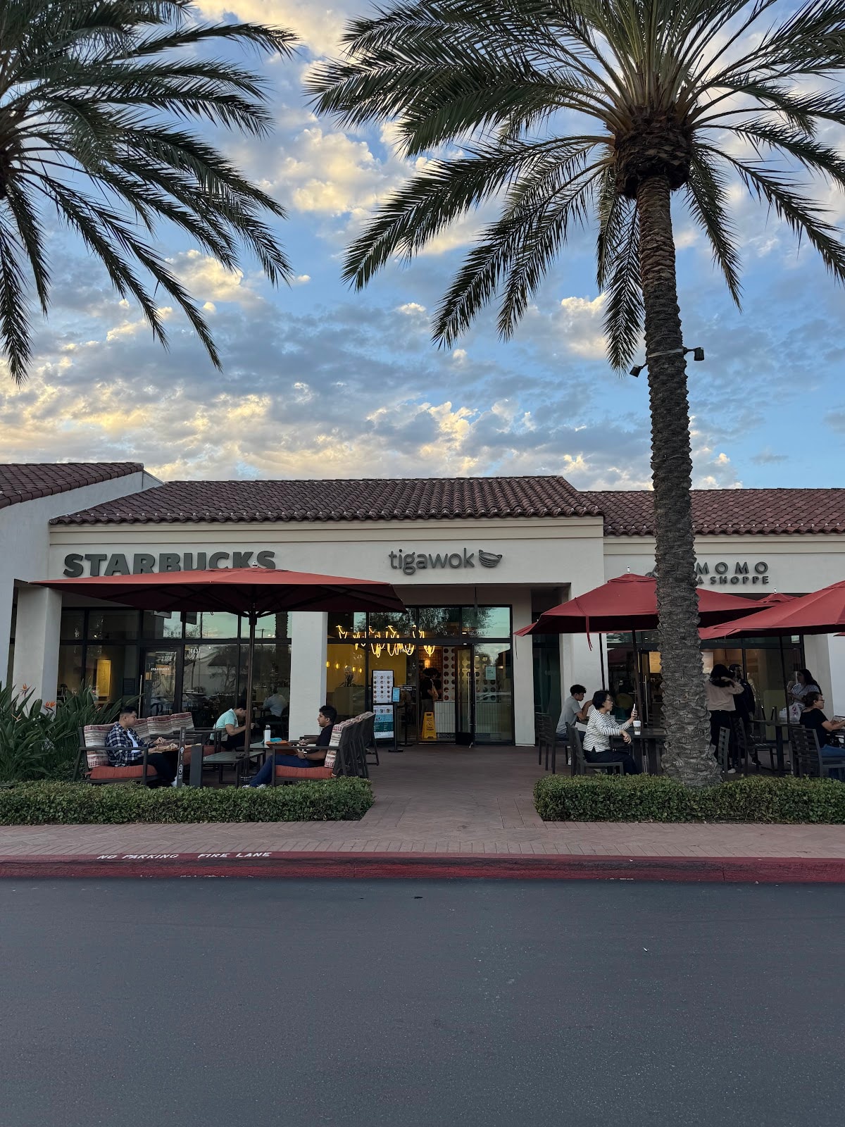 Tigawok Mini Bowls - Irvine
