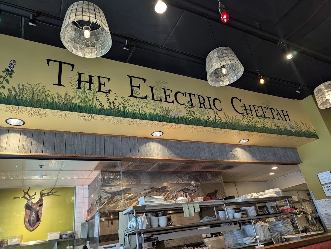 The Electric Cheetah