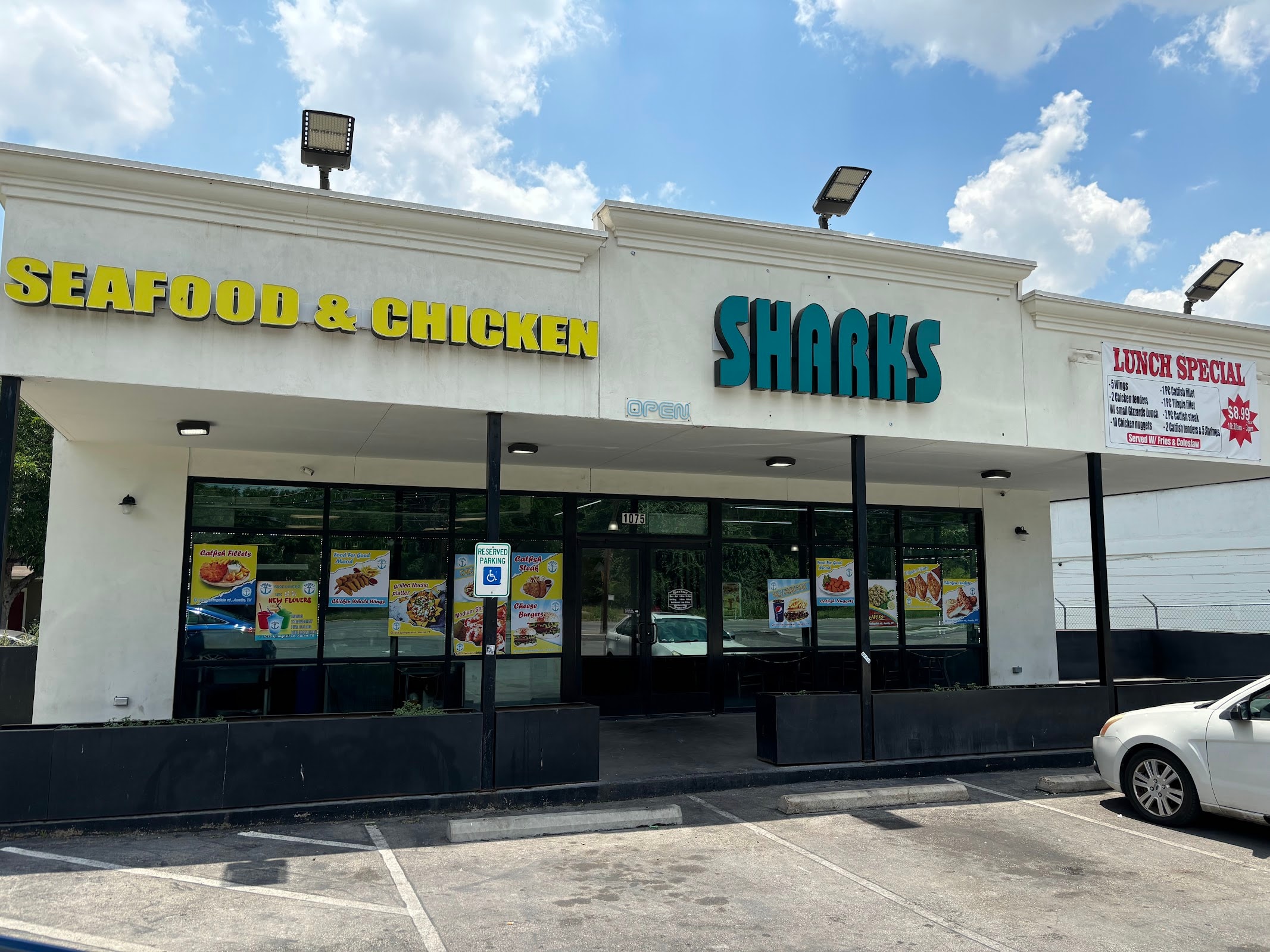 Sharks Fish and Chicken