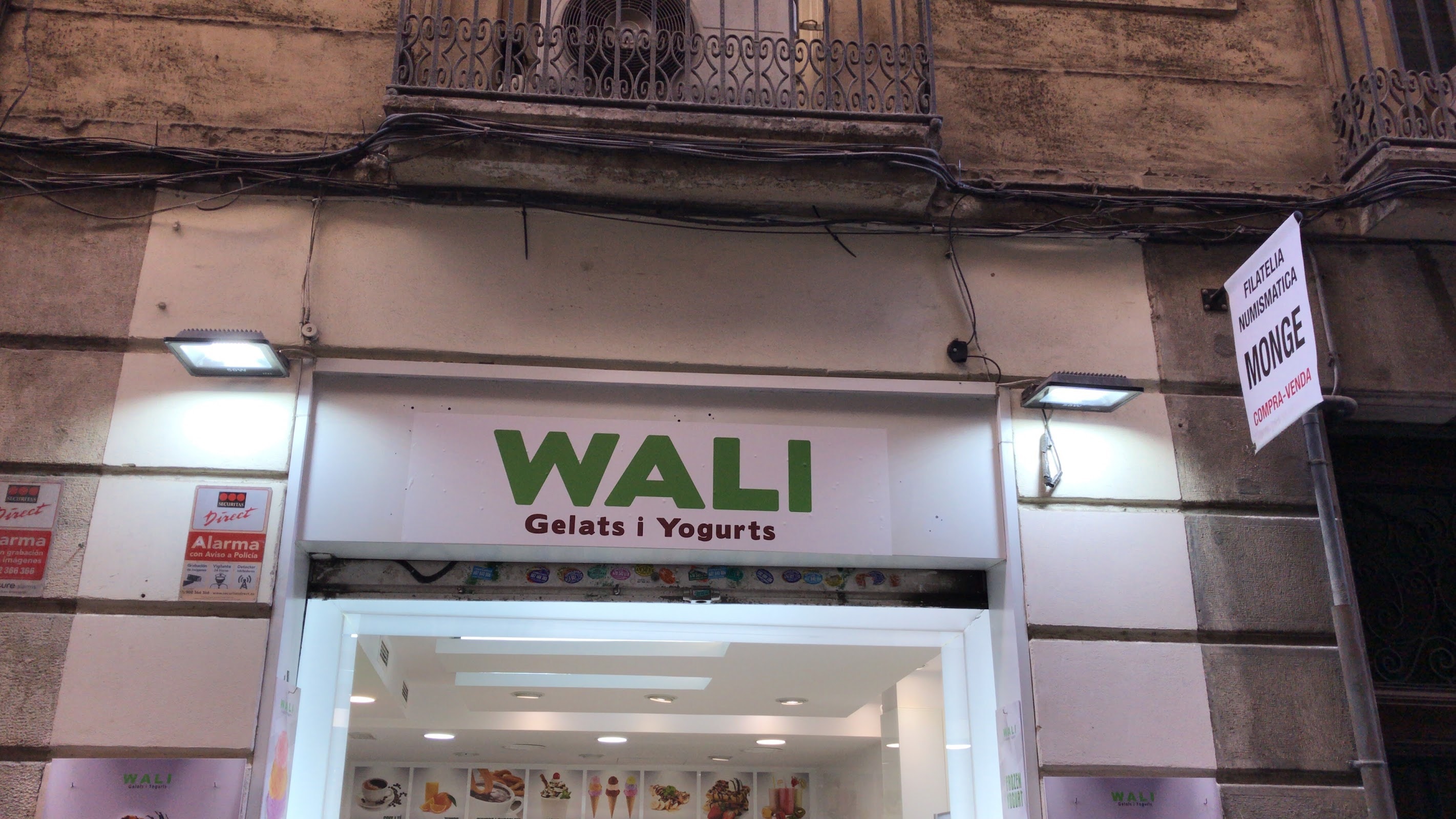 Wali gelats and yogurt