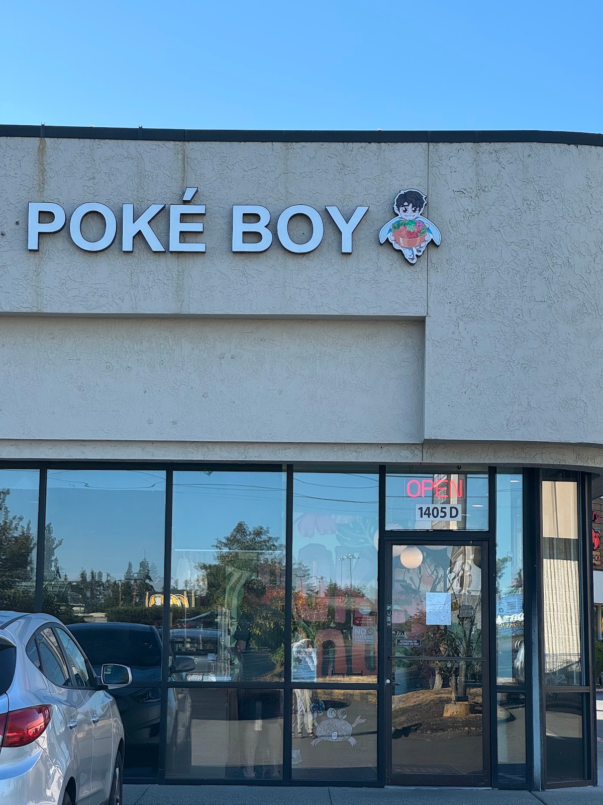 Poké Boy