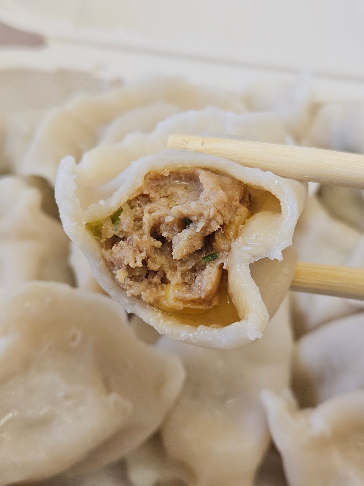Handmade Dumpling