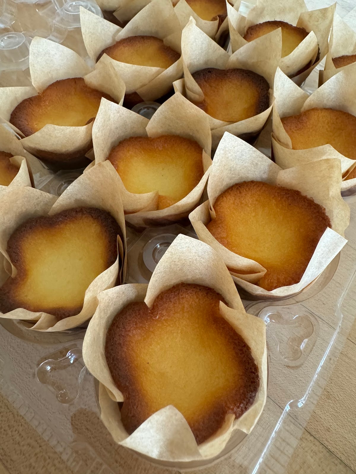 Bashi Bakes