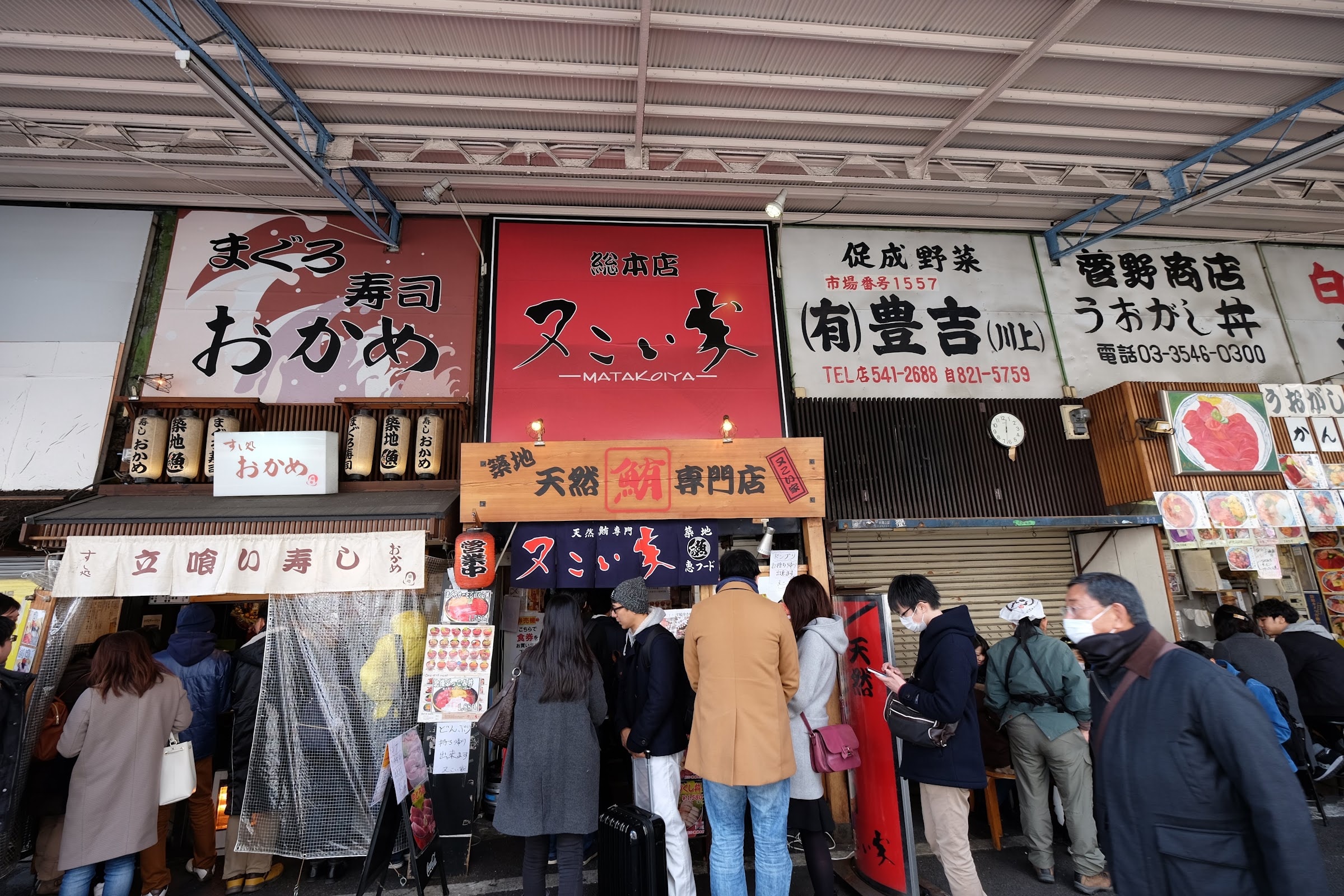 Mata Koi Ya
