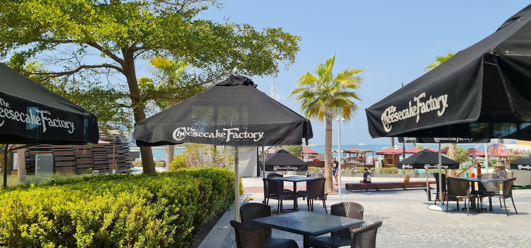 The Cheesecake Factory