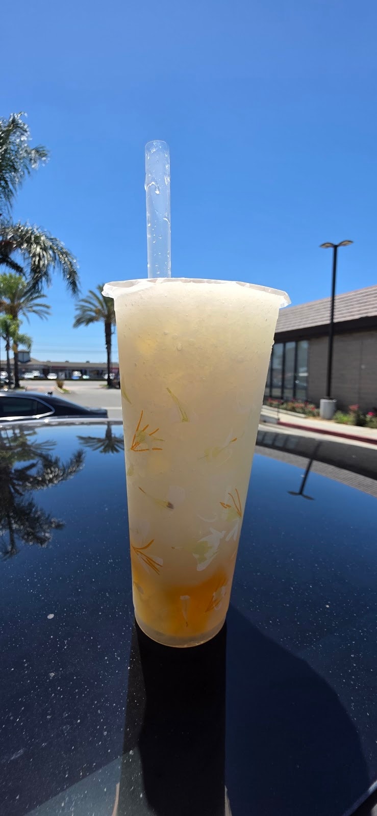 TP TEA – Cerritos