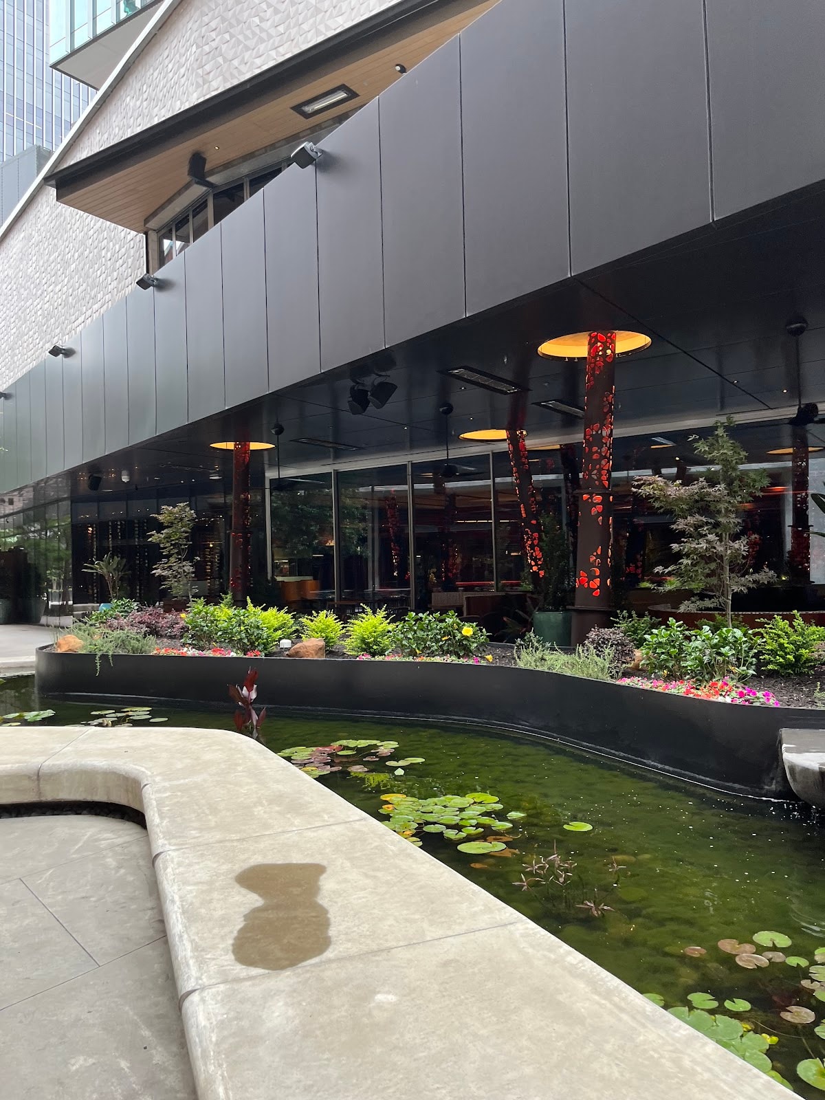 Komodo Dallas - Closed