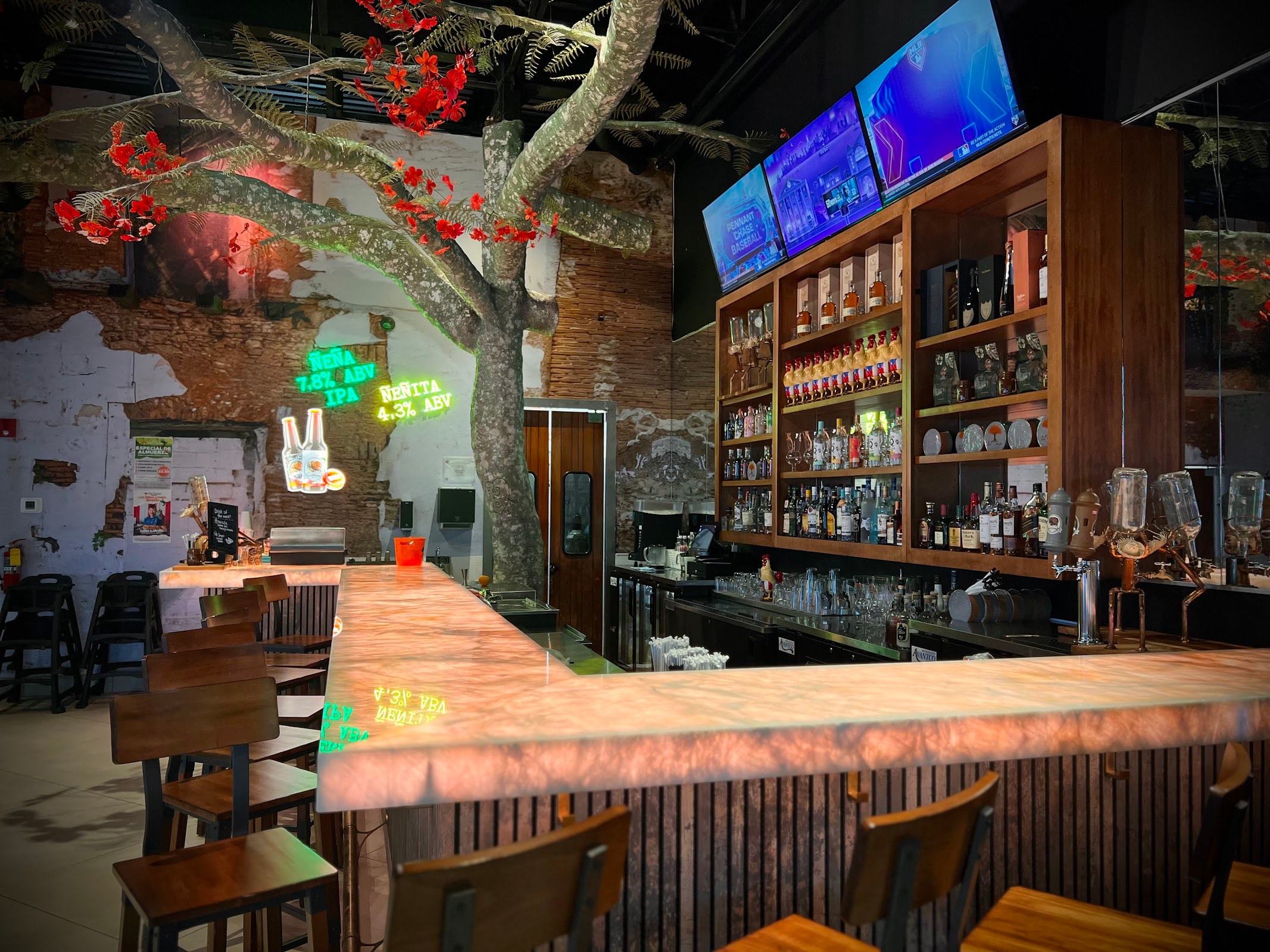 Pal Campo Restaurant Dr Phillips