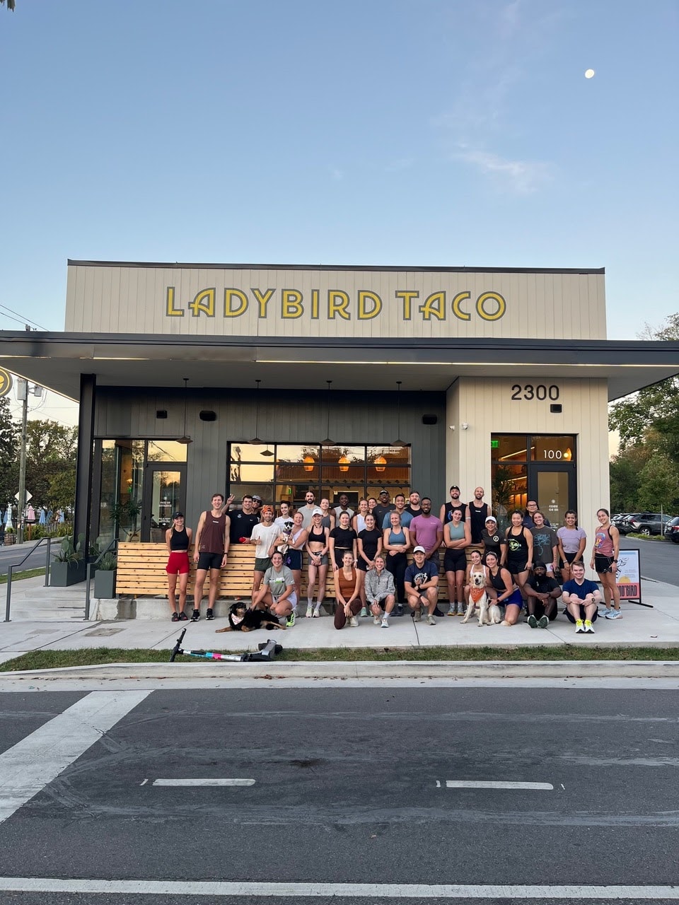 Ladybird Taco