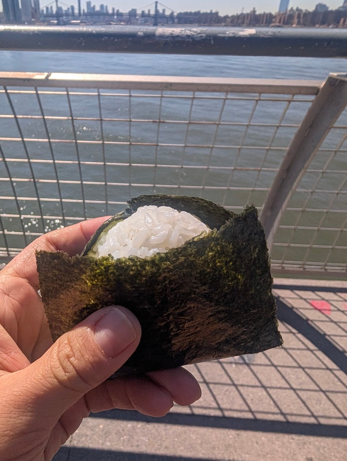 Onigiri Noah