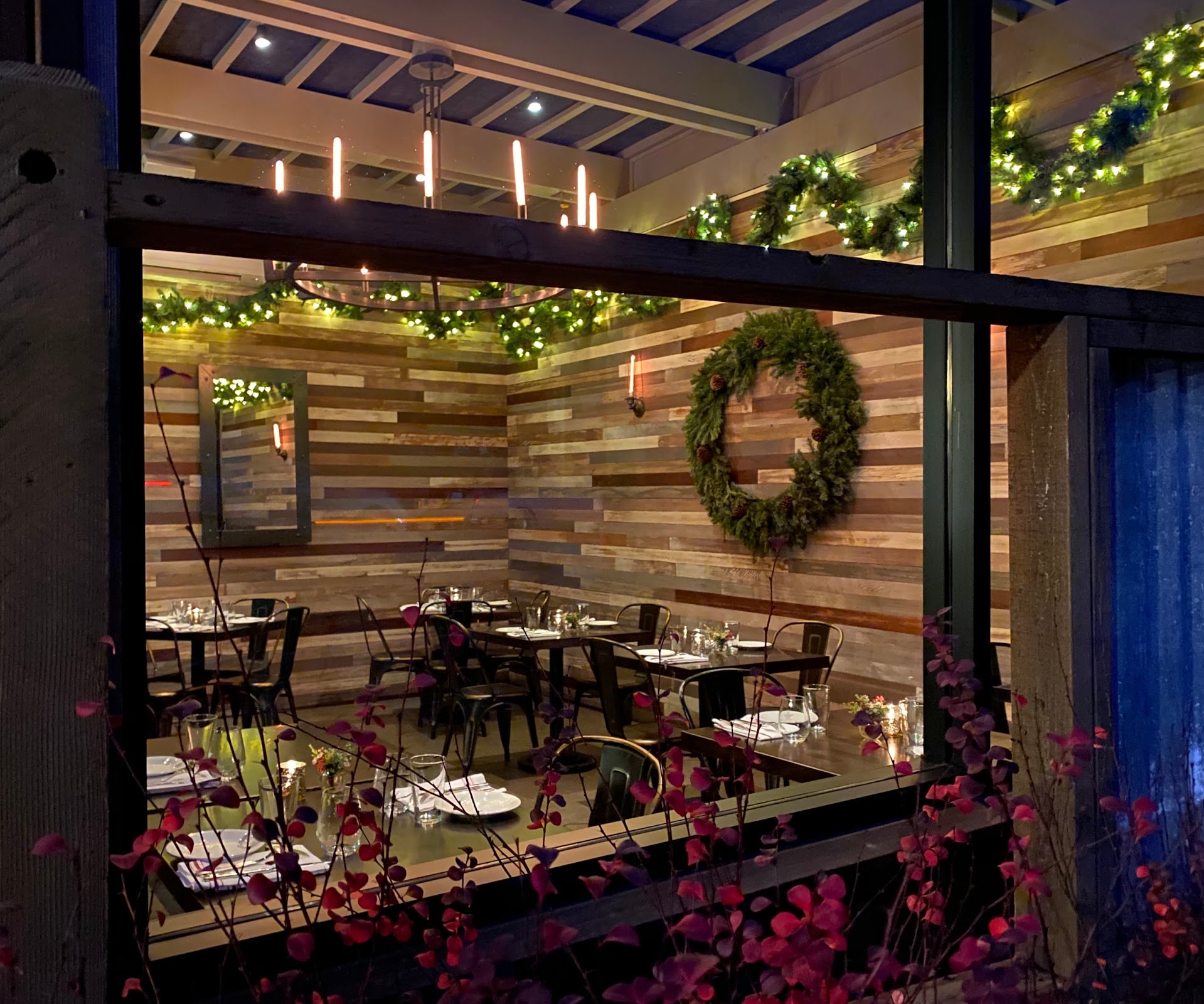 Glen Ellen Star